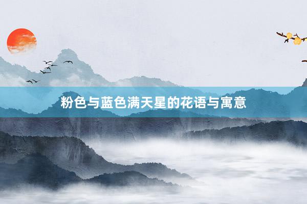 粉色与蓝色满天星的花语与寓意