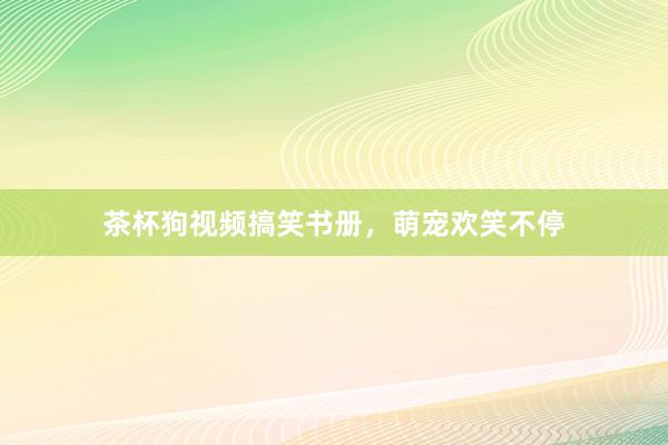 茶杯狗视频搞笑书册，萌宠欢笑不停
