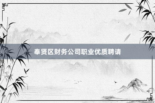 奉贤区财务公司职业优质聘请